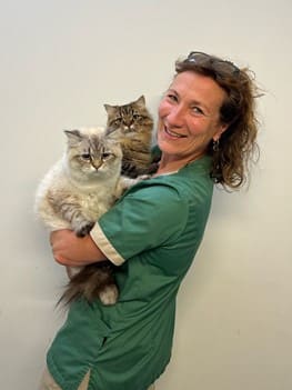 Een dierenarts van de praktijk houdt twee katten tegelijk in haar armen