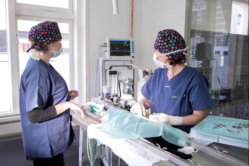 Twee medewerkers in operatiekleding aan de operatietafel, met bewakingsapparatuur ernaast