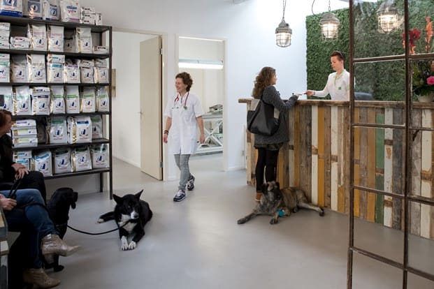 De balie en wachtkamer van Dierenkliniek Kralingen, met honden aan de lijn bij hun baasjes